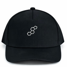Load image into Gallery viewer, Salceology Black Nylon A Frame Snapback Cap with Salceology Logo Design
