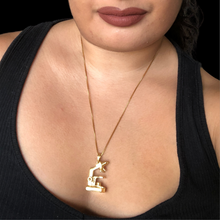 Load image into Gallery viewer, Microscope necklace Australian designed jewellery for biology students